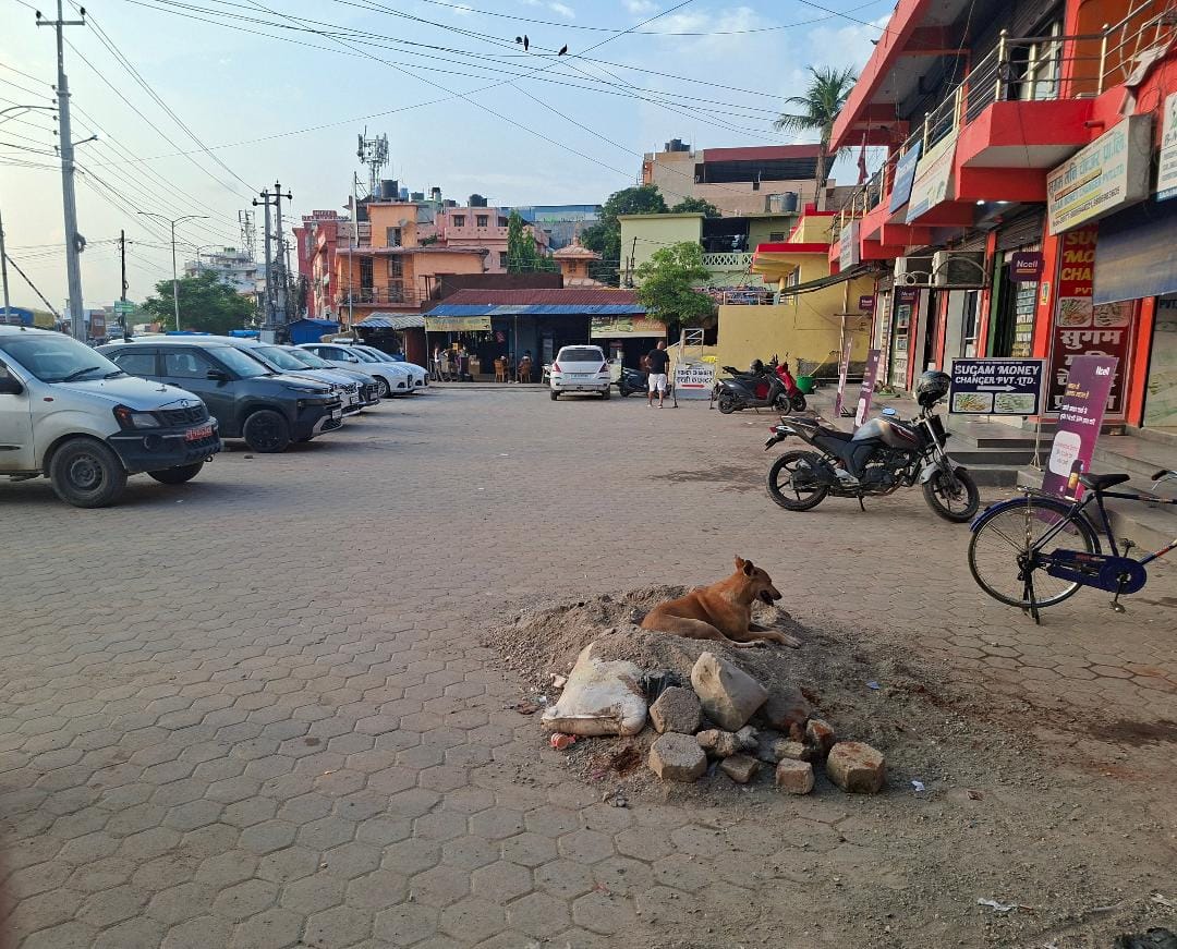 Number of tourists visiting Nepal drops; silence prevails at the Sonauli border.