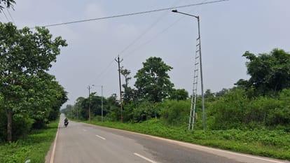 सर्किट हाउस लोढ़ी से पुलिस लाइं स जाने वाले  मार्ग पर पथ प्रकाश के लिए लगे खंभे। संवाद