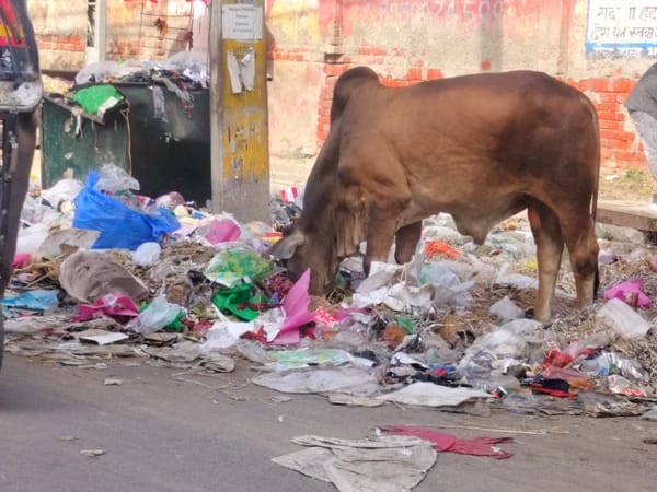 Garbage collection of 16 tonnes halted in Sampla for a week.