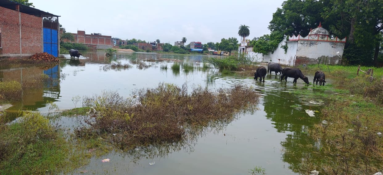 Waterlogging in the historic Dussehra fair ground