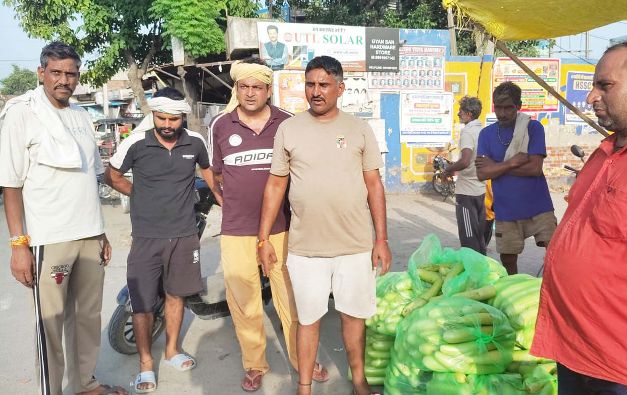 Bottle gourds dumped on the road due to lack of fair prices.