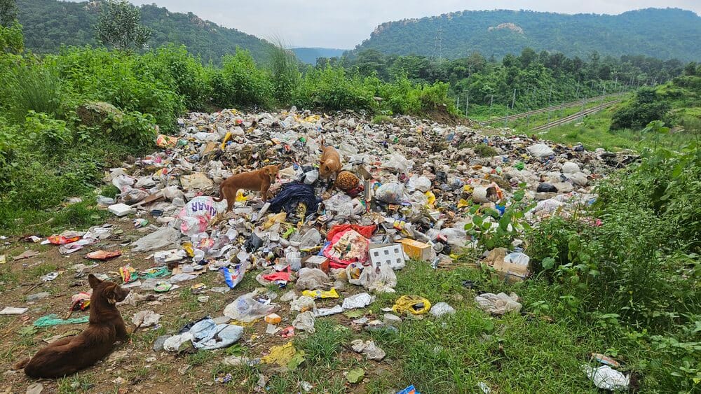 No dumping yard in six years; heaps of garbage along the roadside.