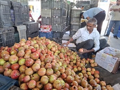 Kullu pomegranates arrive in the markets, prices plummet