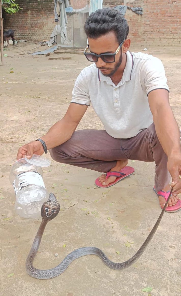 Israr became a snake friend by rescuing two thousand snakes in three years.