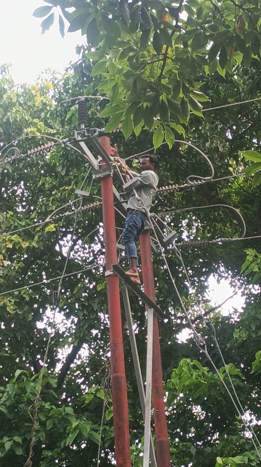 Fault in main line; power out for 20,000 consumers.