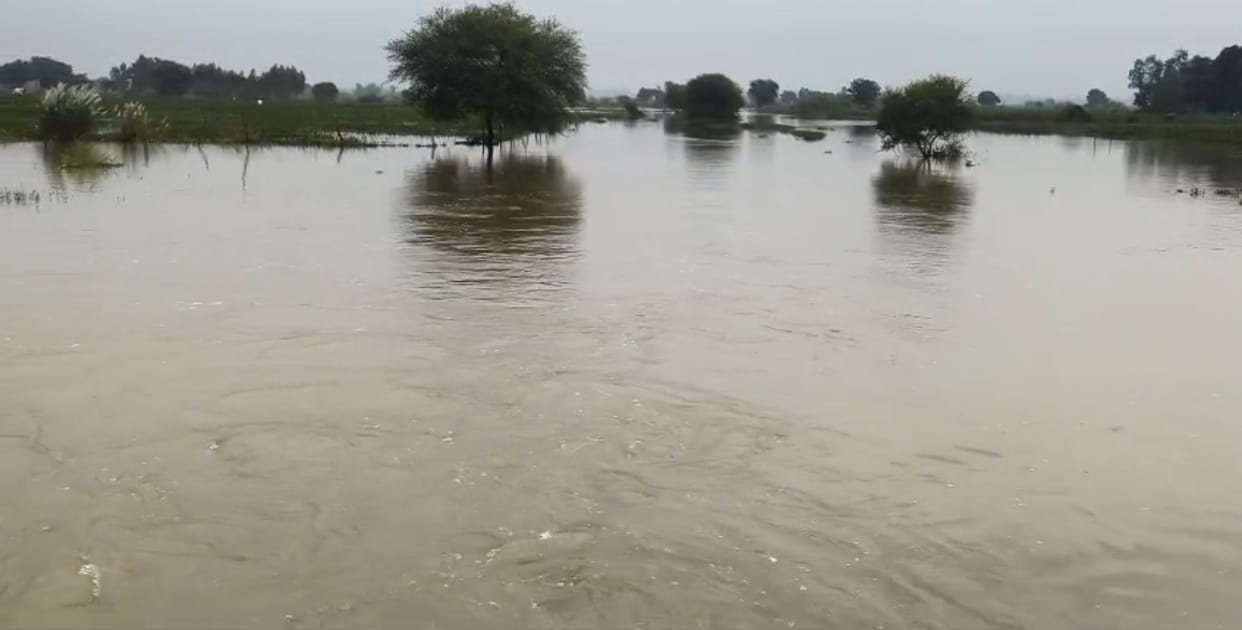 Water from the swelling Ganges reached the houses situated along the ghats
