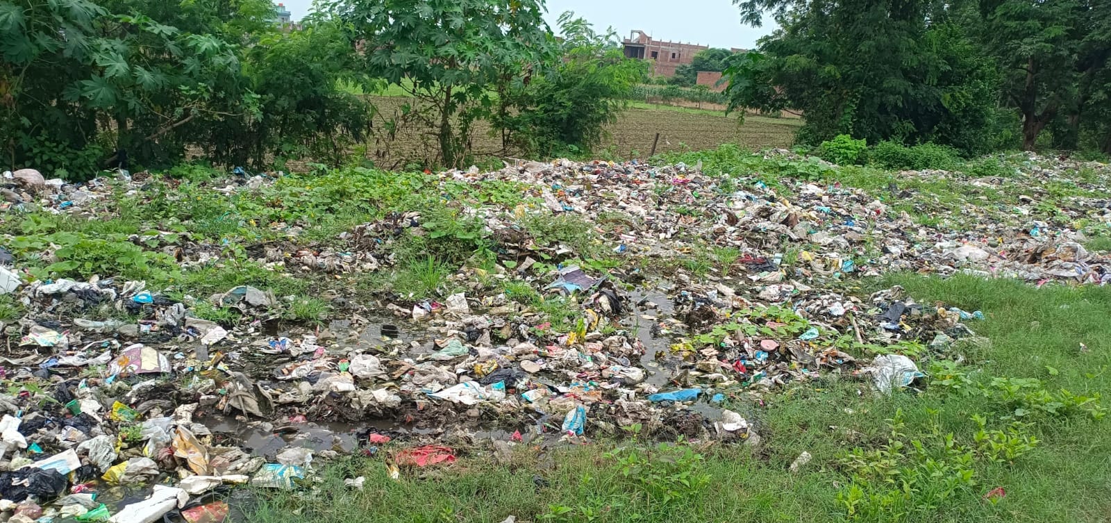 फोटो 12: बिलग्राम के कन्नौज बाईपास पर रोड किनारे लगा कूड़ा। संवाद &nbsp;