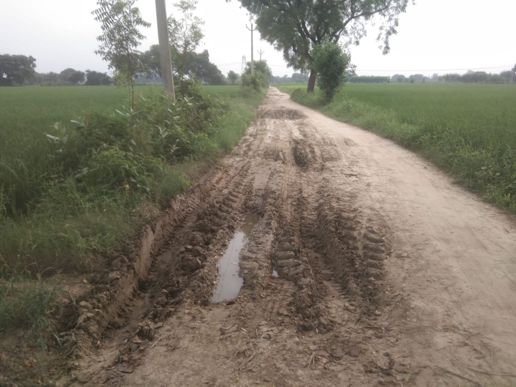 Breaths stifled in a quagmire of promises... No road, no vote.