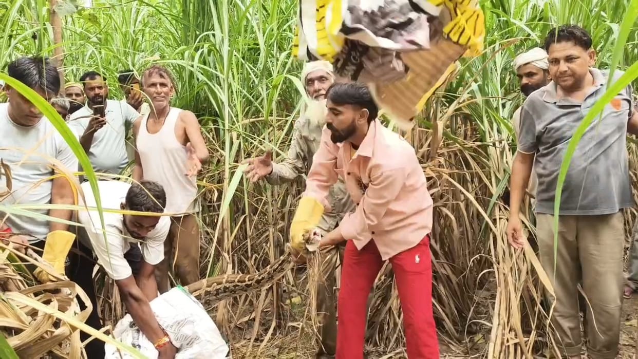 A 10-foot-long python swallowed a dog in Haiderpur village