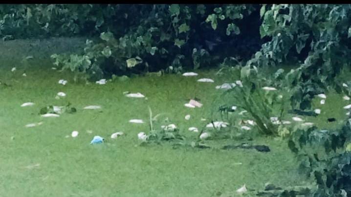 10 quintals of fish died due to pesticide-contaminated water