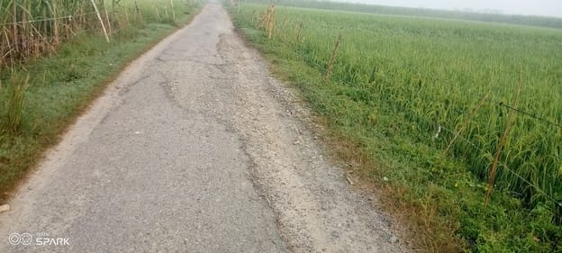 मुडिया हेमसिंह से नौसर जोगी जाने वाली सड़क। संवाद
