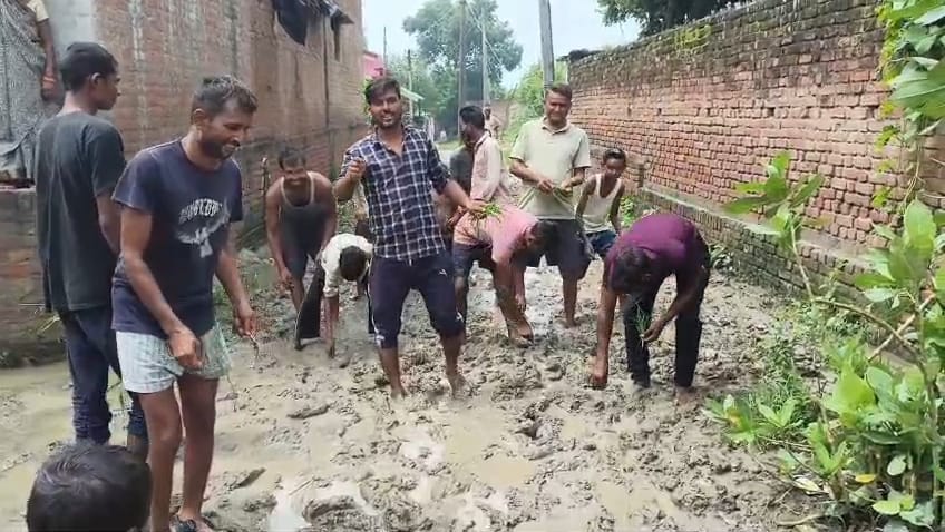 Officials ignored their plea; they registered their protest by planting paddy on the road.