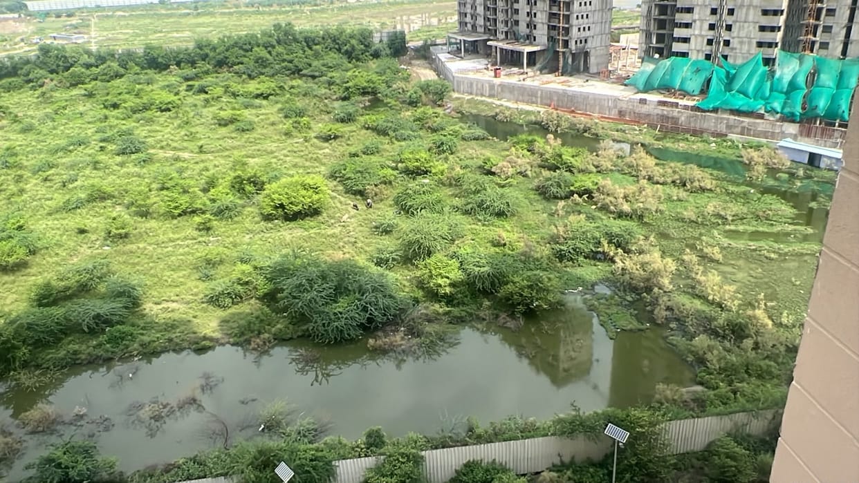 Sector-150 societies await amenities... dilapidated roads increase risk of accidents.
