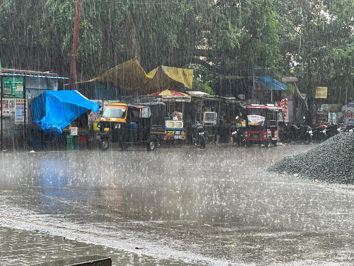 12.8 mm of rainfall provides a lifeline to the paddy crop.