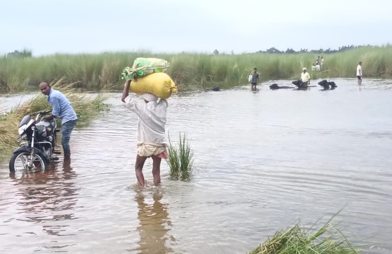 सगड़ी के इस्माइलपुर में सिर पर बोरा लेकर घूटने भर पानी में। संवाद