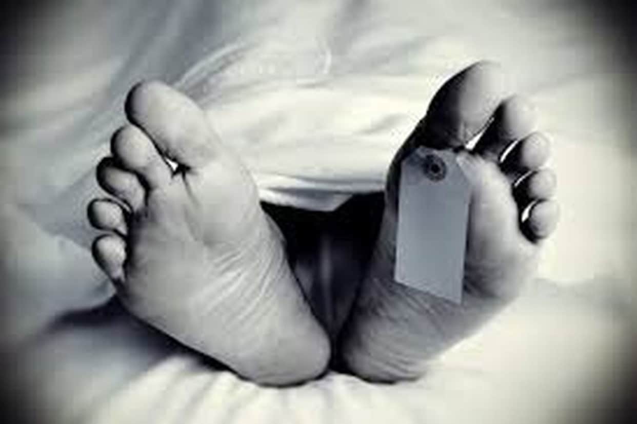 Viral fever strikes households; 1,823 patients visit Arogya Melas.