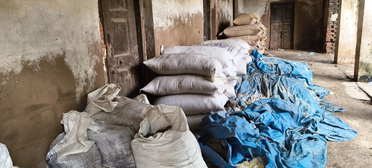 Wheat soaked by rain at the Chaukiya cooperative society.