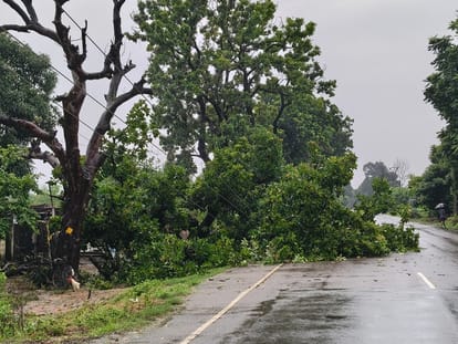 बारिश में टूटा तार 