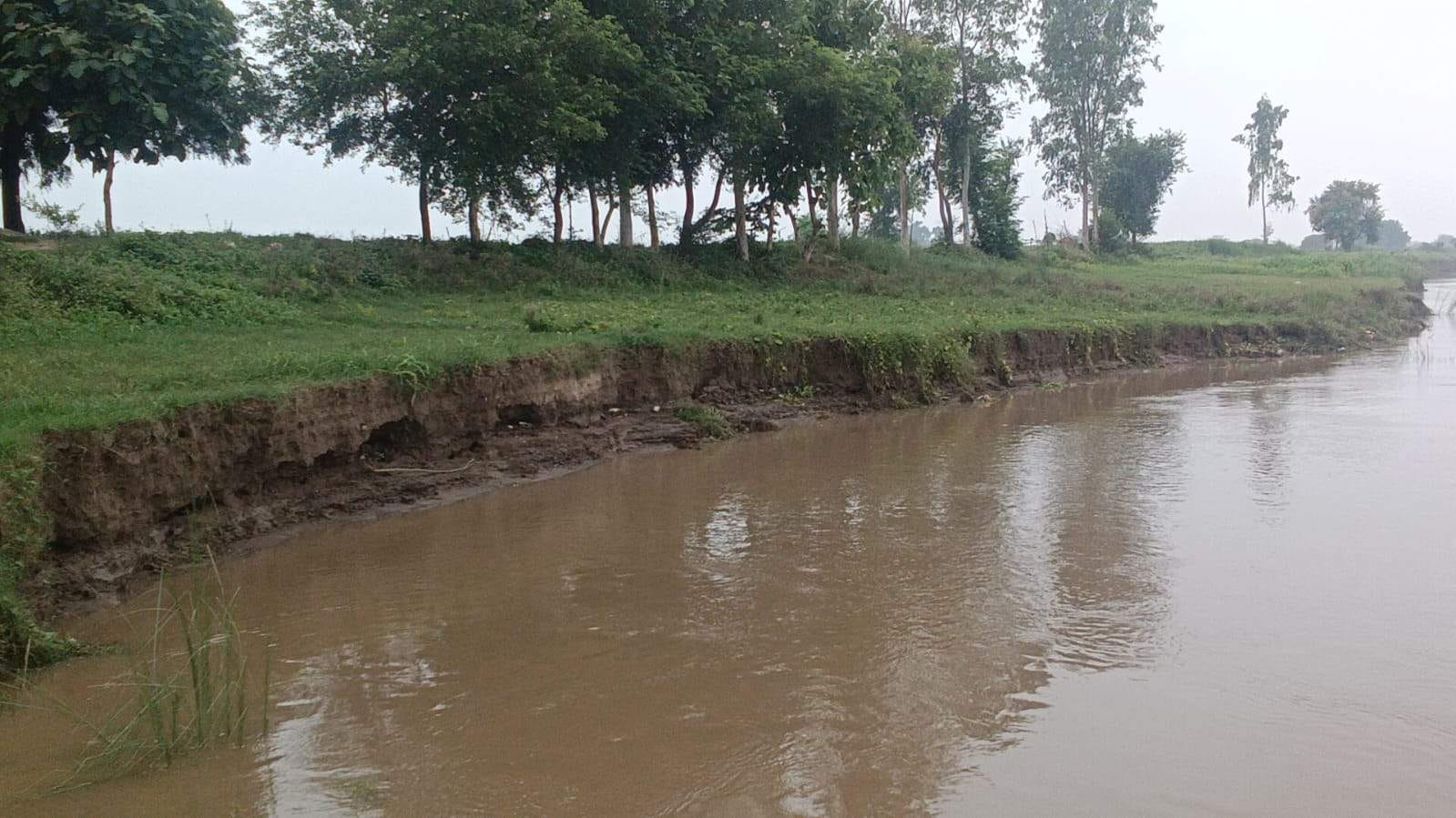 चहनियां में बढ़ता गंगा का जलस्तर। संवाद