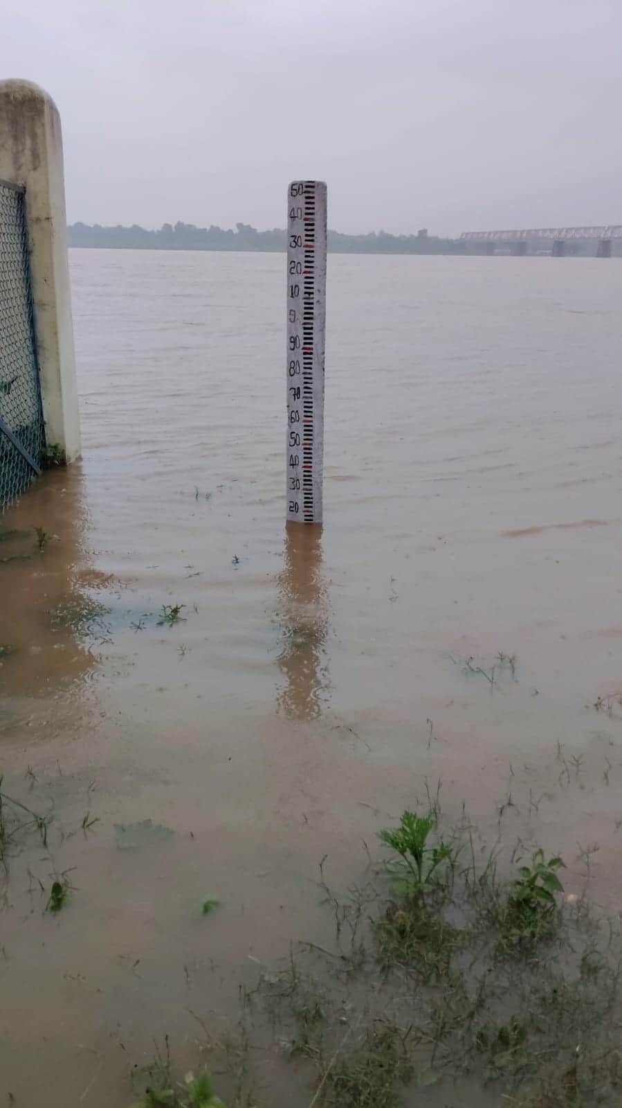 Son River just 85 cm away from the danger mark.