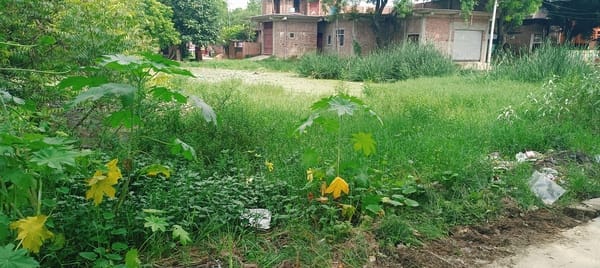 Ponds in Dakhalipur are in a dilapidated state due to encroachment in some places and filth in others.