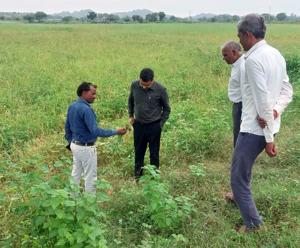 The SDM visited the fields and inspected the crops affected by excessive rainfall