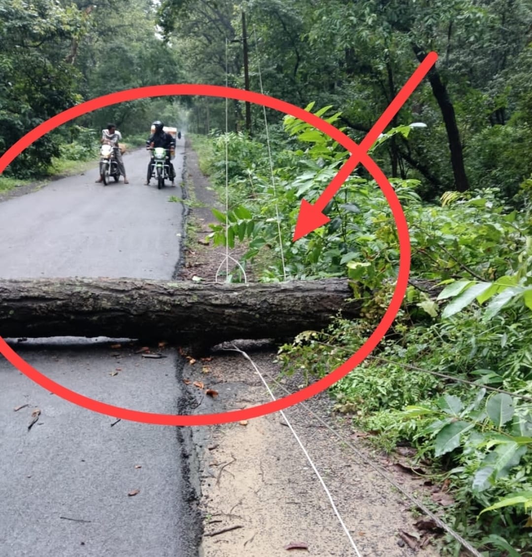 Tree falls on high-tension line; power supply to six villages and colonies disrupted for 13 hours.