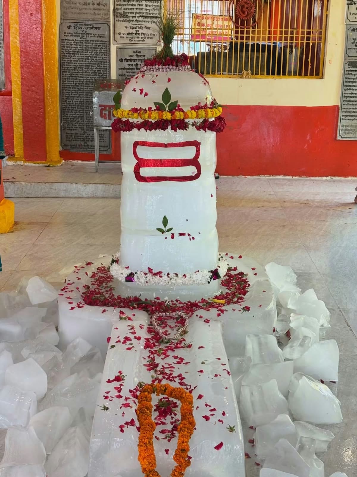A Shiva Lingam made of seven quintals of ice for Trilochan Mahadev