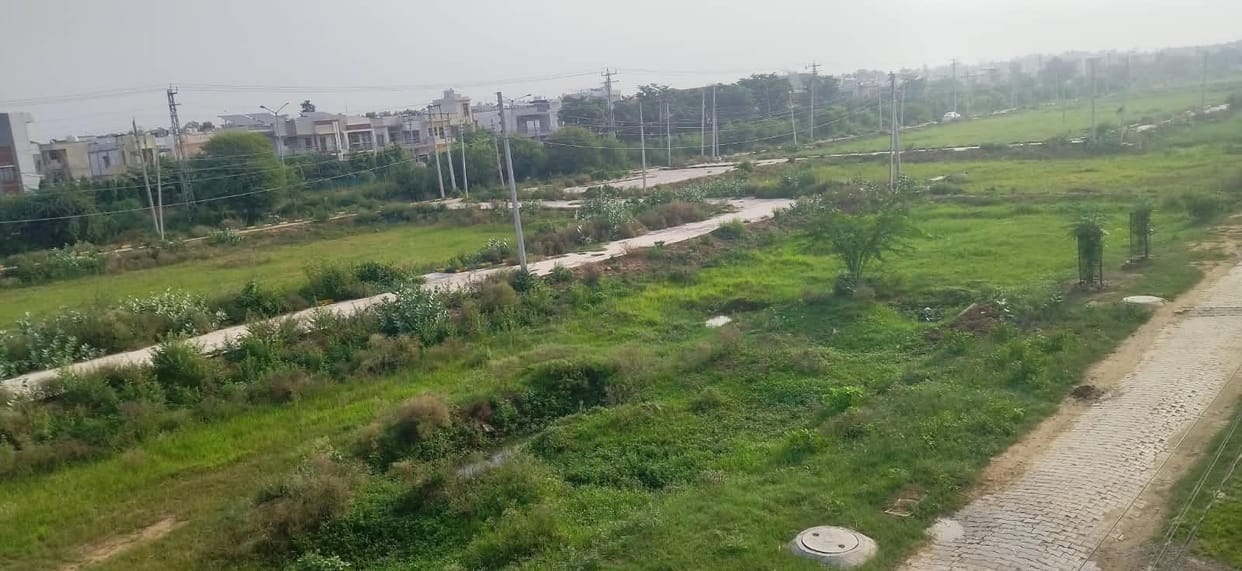 From the road to the powerhouse, the plan to develop Sector 28 remains stalled.