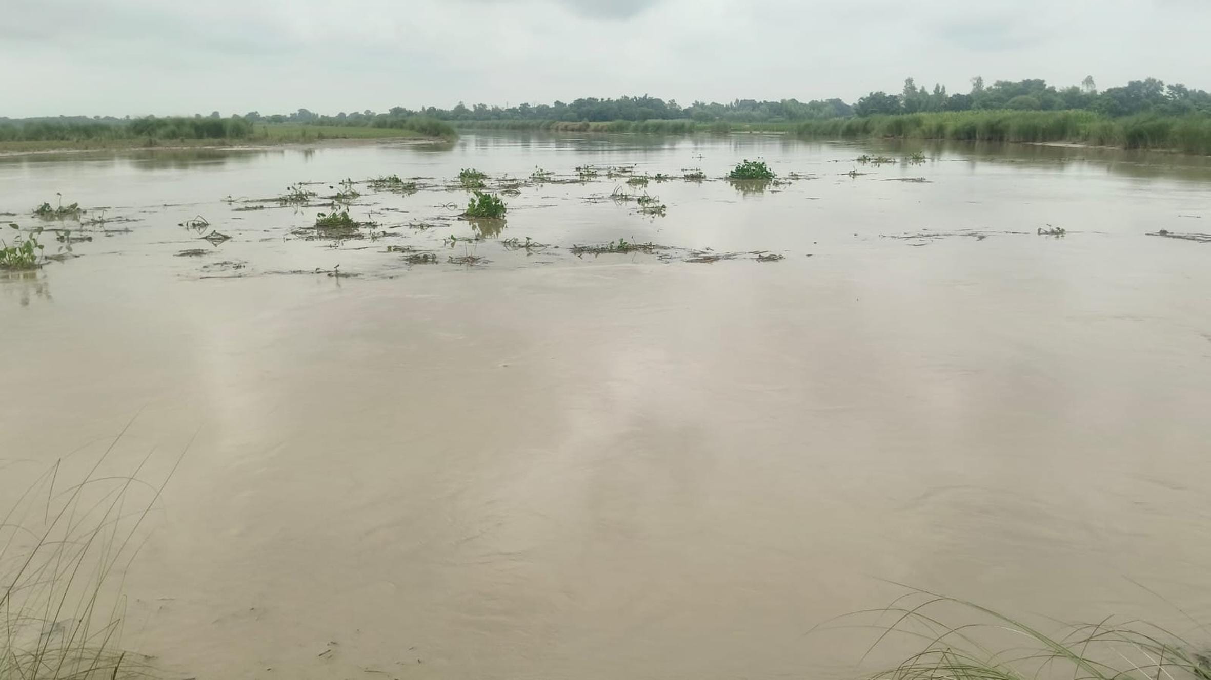 महसी में जोगलापुरवा के पास खेतों में भरा बाढ़ का पानी।
