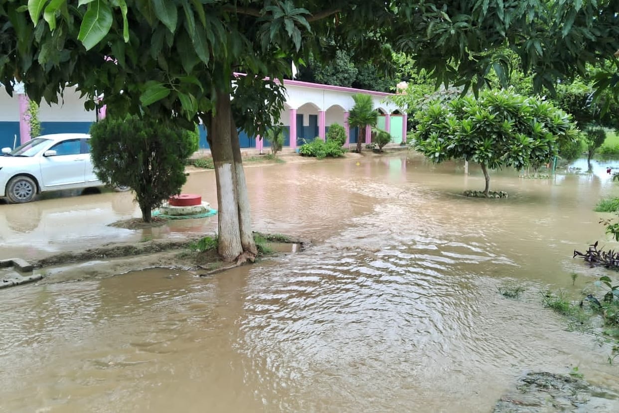 50 bighas of crops submerged after canal embankment breaches.