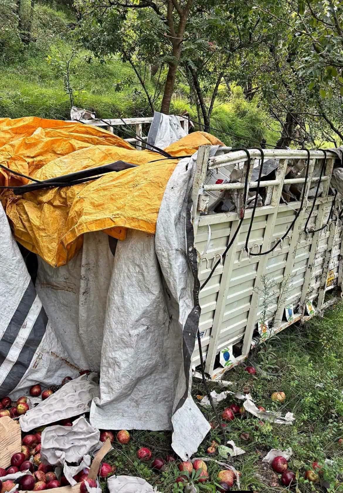 पंजाई-थलौट मार्ग पर सारली में सेब से लदी पिकअप 200 फीट गहरी खाई में गिरी। स्त्रोत- जागरूक पाठक