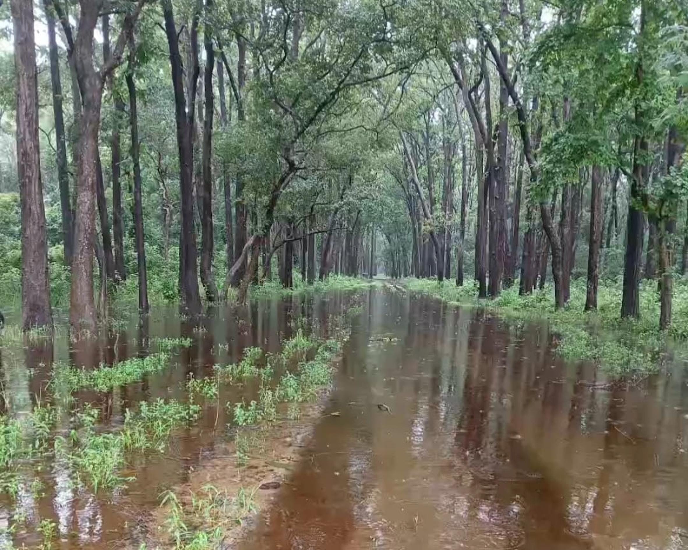 सांकेतिक तस्वीर