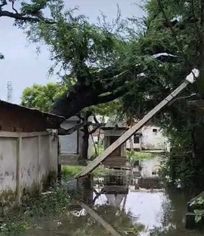 पेड़ गिरने से टूटा बिजली का खंभा व जंगल के रास्ते पर हुआ जलभराव।