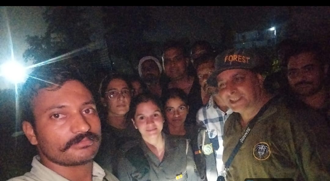 Wild elephant spotted again in Tokio-Sanwala forest, villagers panicked