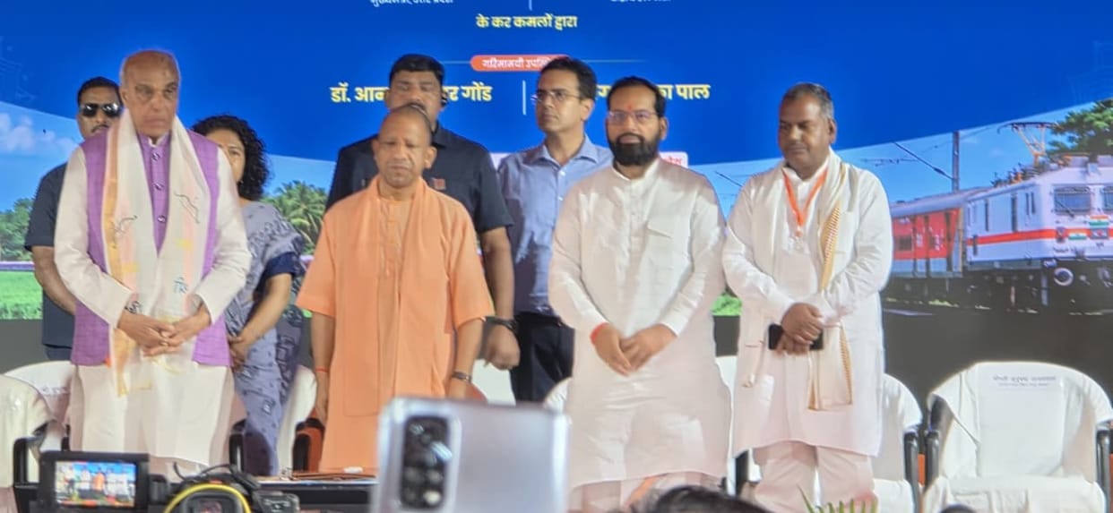 When the track is broad, the paths, markets, and opportunities also become vast: Yogi
