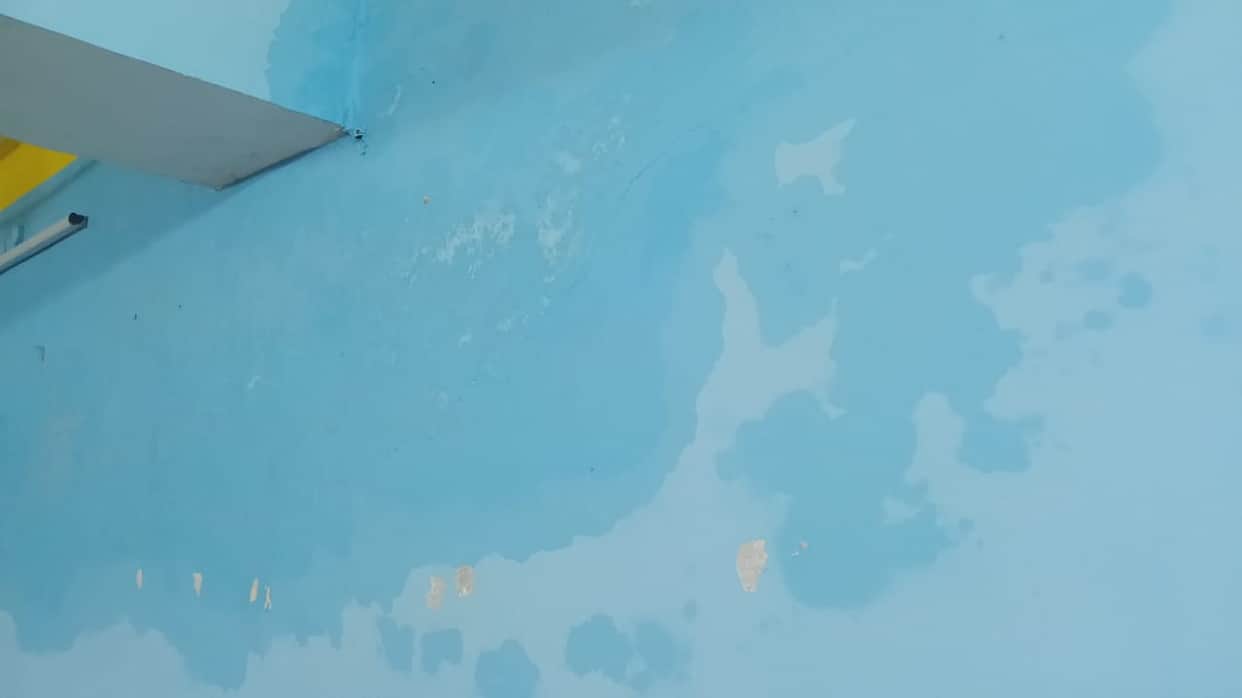 Plaster applied just 10 days ago; digital library walls develop dampness during the first rain.