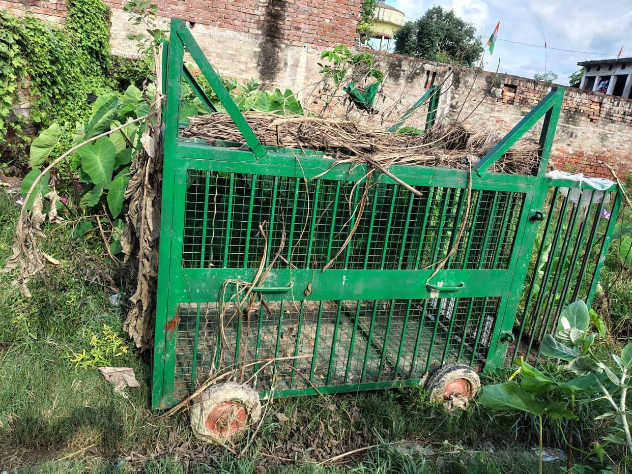 Leopard remains at large; panic persists