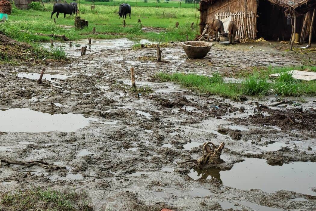 Floodwaters receded; mud and stench spread across the villages.