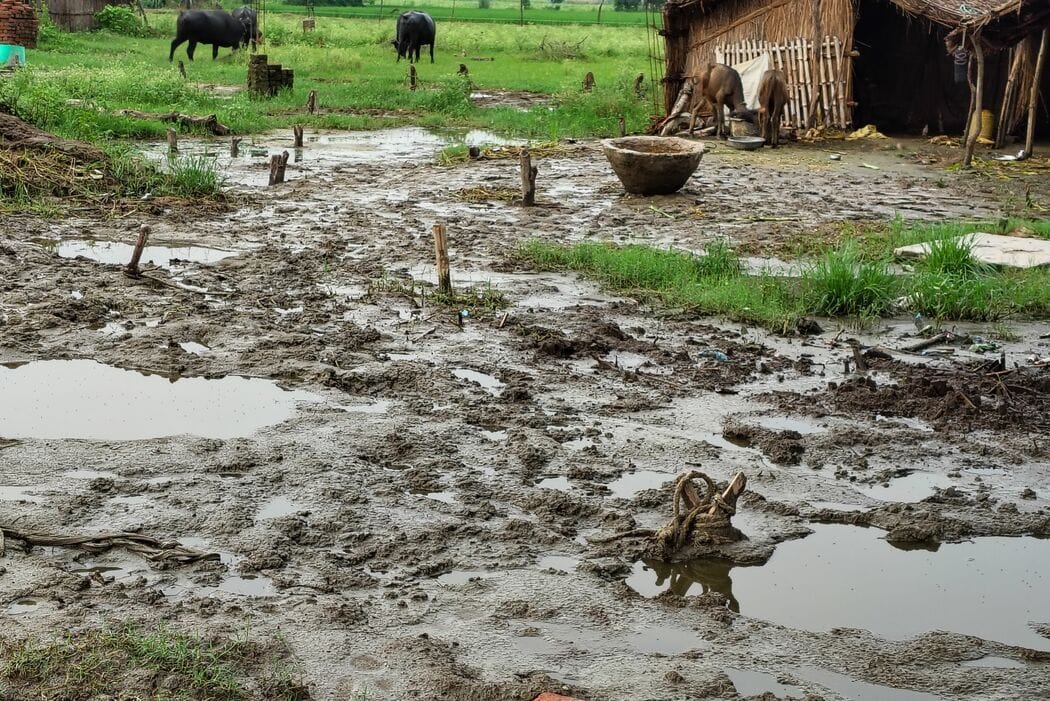 Floodwaters receded; mud and stench spread across the villages.