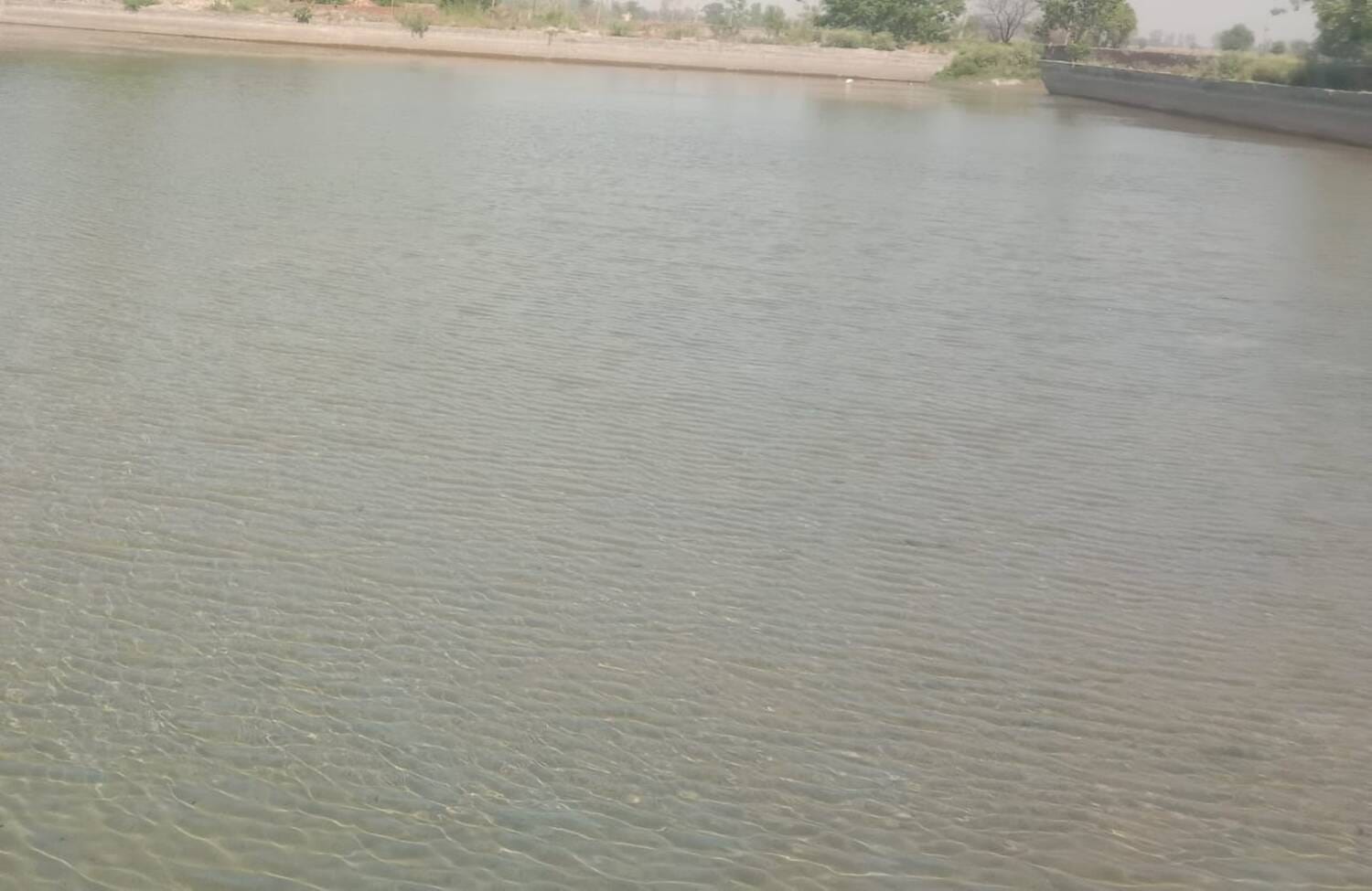 फोटो - बनवासा गांव के जलघर में भरा हुआ पानी। संवाद