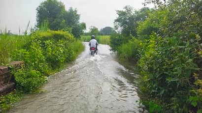 Jamuari river overflows, culvert submerged