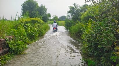 Jamuari river overflows, culvert submerged