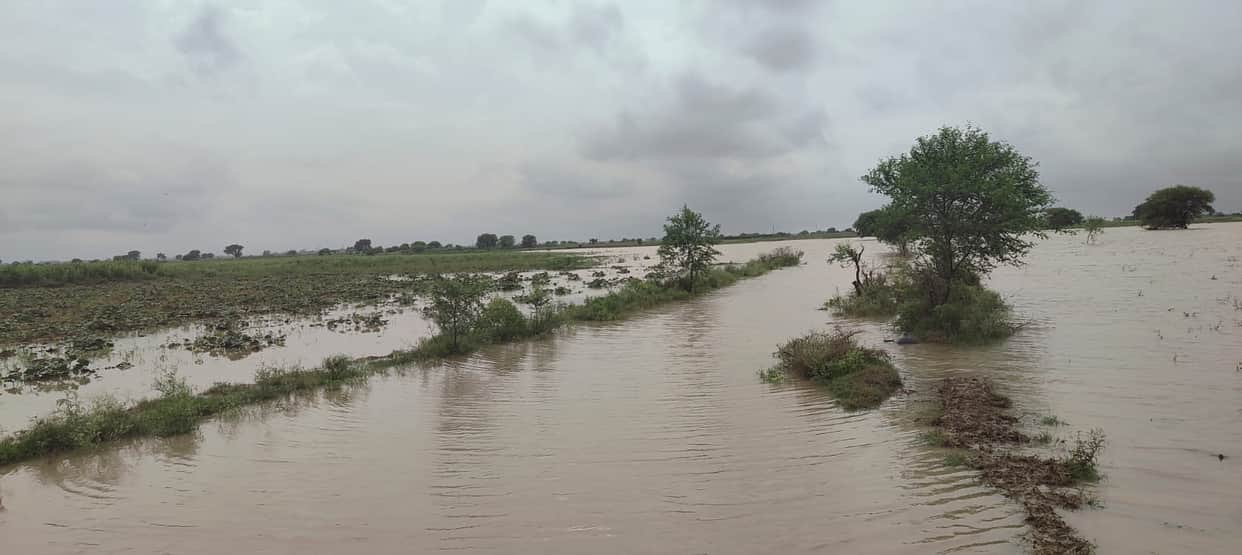 Water has inundated fields across 11 villages in Seekhad; the *Aarti* site in Vindhyachal and the cremation ground in Harsingpur are submerged.
