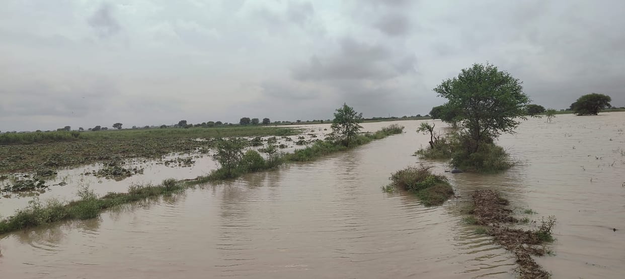 Water has inundated fields across 11 villages in Seekhad; the *Aarti* site in Vindhyachal and the cremation ground in Harsingpur are submerged.