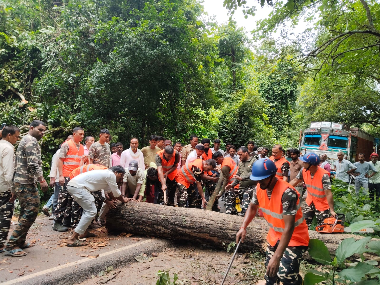 मुख्य मार्ग से पेड़ को हटाते हुए एसएसबी जवान। स्रोत: एसएसबी