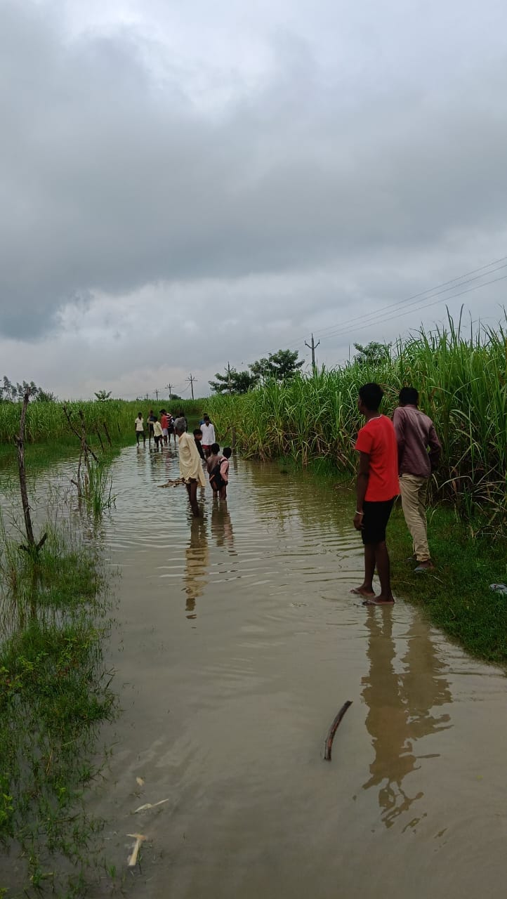 If the road is not built, the villagers will not even vote