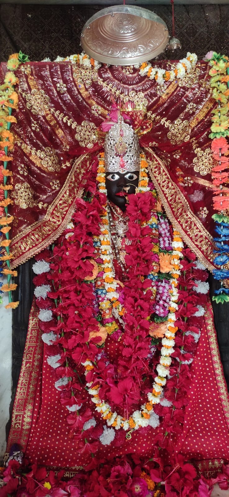 Maa Vindhyavasini's manifestation festival celebrated with great fanfare at Mavaiya Devi Dham.