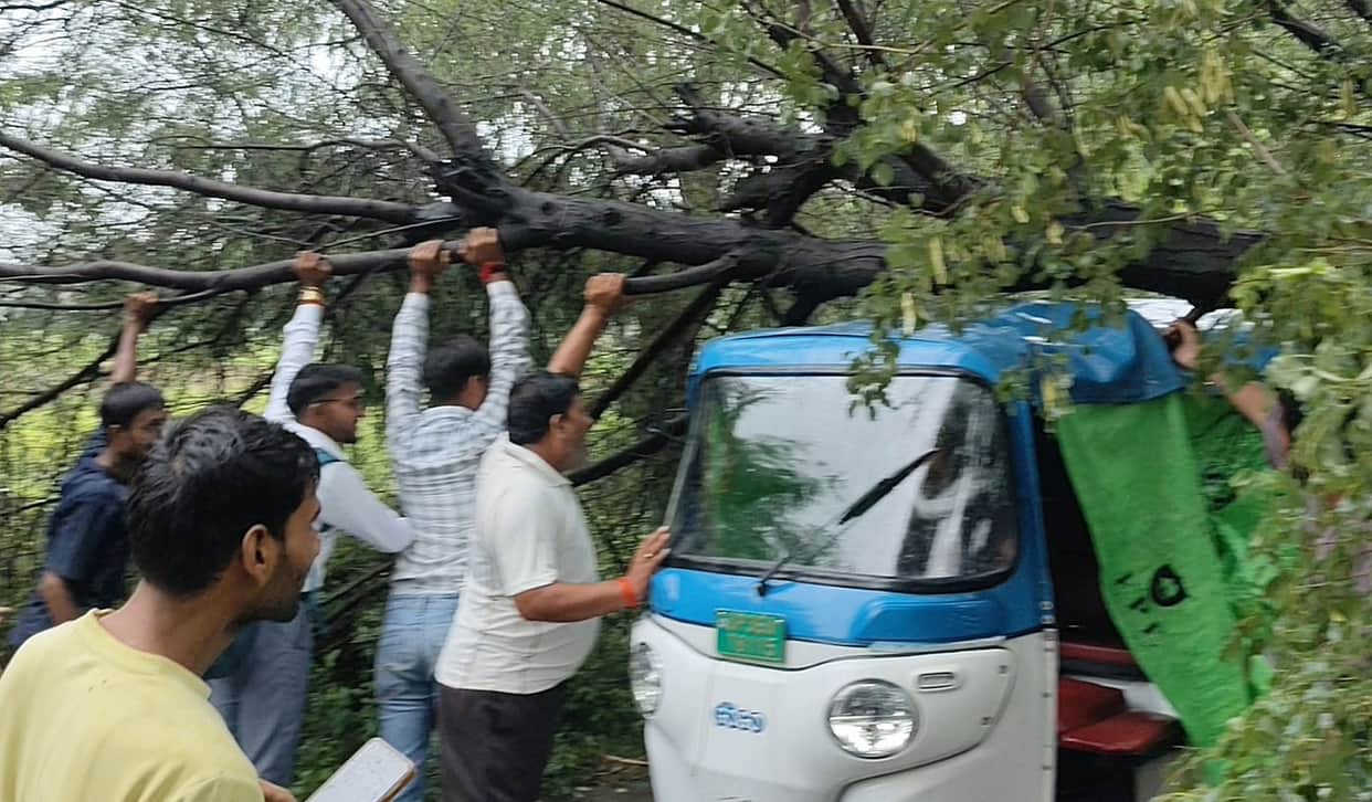 Tree falls on highway; traffic disrupted for an hour.
