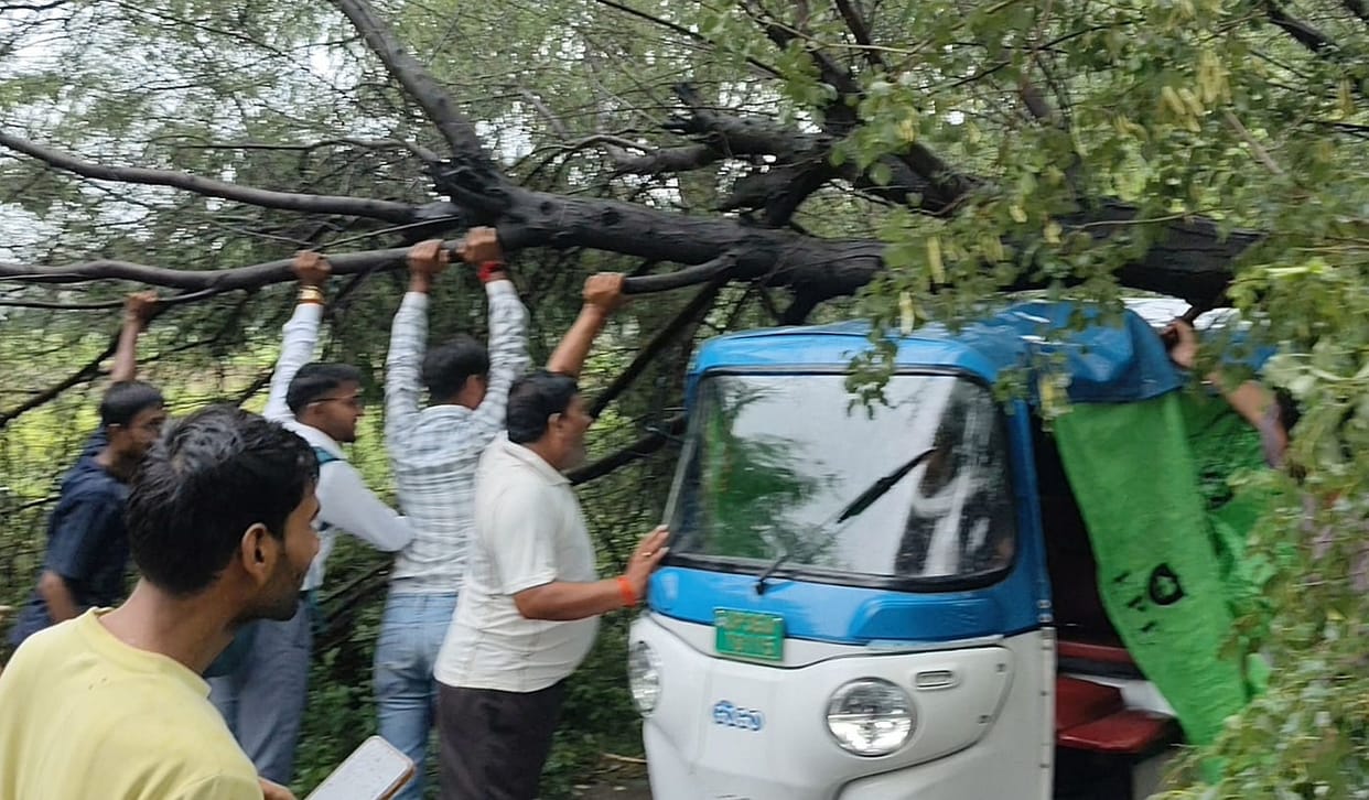 Tree falls on highway; traffic disrupted for an hour.